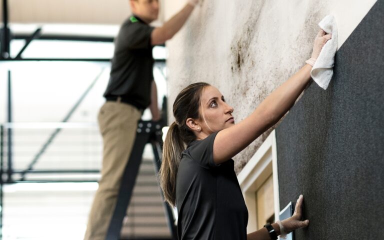 Commercial Ceilings, Floors & Walls Page